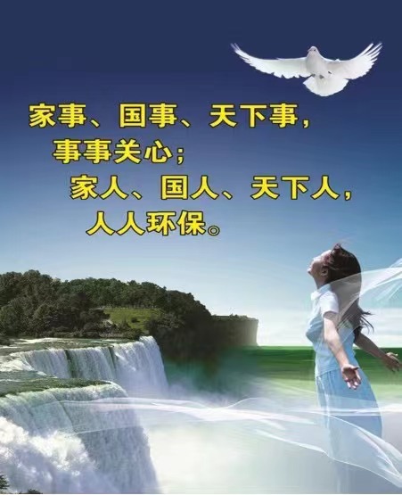 鱨
